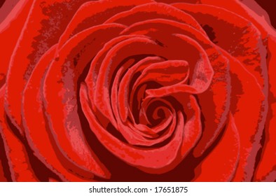 vector illustration of macro shot of a rose.