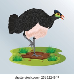 vector illustration of the Macrocephalon maleo bird, a typical animal of Gorontalo Indonesia