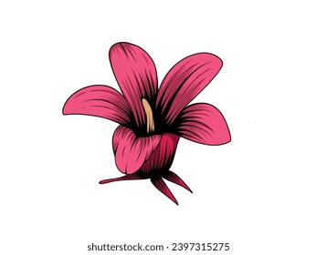 Ilustración vectorial de la flor magenta