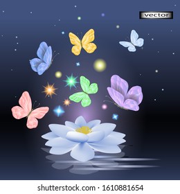 Vector illustration magic light night Lotus flower shining butterflies