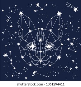 Vector illustration of magic zodiac linear polygonal cat in space among sketch hand drawn stars, animals constellation on dark sky, triangle face. Horoscope, fortune telling, hipster style, fairy tale