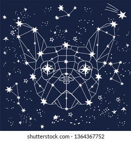 Vector illustration of magic zodiac linear polygonal dog in space among sketch hand drawn stars, animals constellation on dark sky, triangle face. Horoscope, fortune telling, hipster style, fairy tale