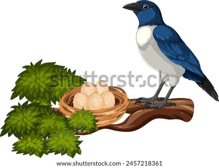 Similar – Image, Stock Photo Magpie in natural habitat with raindrops