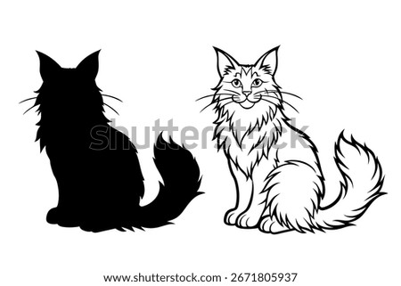 Vector illustration of Maine Coon pet sitting pose on a white background.