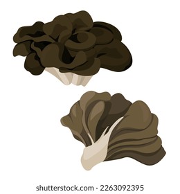 Vector illustration of maitake mushrooms.