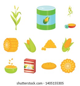 Vector illustration of maize and food icon. Collection of maize and crop stock vector illustration.