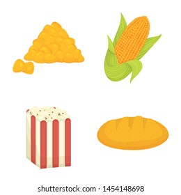 Vector illustration of maize and food logo. Collection of maize and crop vector icon for stock.