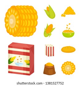 Vector illustration of maize and food sign. Set of maize and crop stock vector illustration.