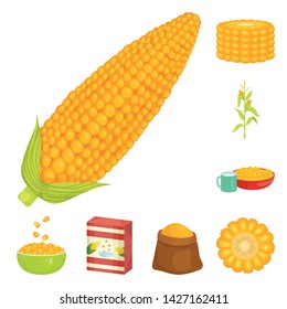 Vector illustration of maize and food sign. Collection of maize and crop stock symbol for web.