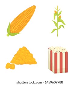 Vector illustration of maize and food sign. Collection of maize and crop stock vector illustration.