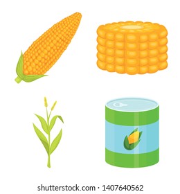 Vector illustration of maize and food symbol. Collection of maize and crop vector icon for stock.