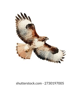 Ilustração vetorial de um majestoso falcão em voo com asas abertas. Ideal para projetos de vida selvagem, temas da natureza e projetos de marca poderosos.