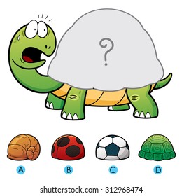 Vector Illustration of make the choice and connect  matching turtle shell