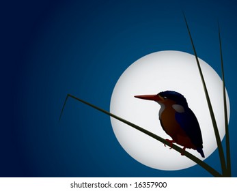 Vector: Illustration of a Malachite Kingfisher against moon (detail still visible)