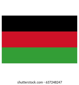 vector illustration of Malawi flag