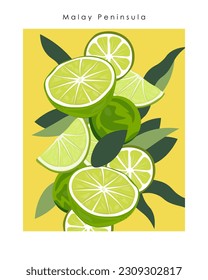 Vector illustration Malay Peninsula. Limes, birthplace of limes. Design for poster, postcard, banner, web site, packaging design for juice, fruit tea.