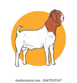 Vector illustration of male boer goat. Suitable for design element of boer goat breeding and farm.