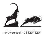 Vector illustration of male goat