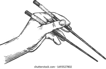 Vector illustration of a male hand holding an antique traditional Japanese chopsticks. Vintage hand drawn engraving style.