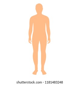 clipart of the human body