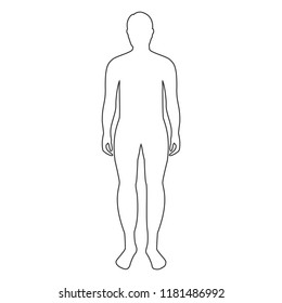 Vector Illustration. Male Human Body Silhouette