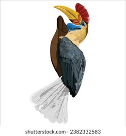 Vector illustration male Knobbed Hornbill perched on a tree