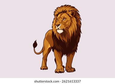 vector illustration of a male lion on a white background