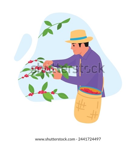 Vector illustration of a male planter picking coffee berries. Cartoon scene of a man in a hat and a basket, picking red coffee berries from branches with green leaves isolated on a white background.