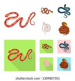Vector illustration of mammal and danger icon. Set of mammal and medicine vector icon for stock.