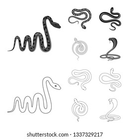Vector illustration of mammal and danger icon. Collection of mammal and medicine stock vector illustration.