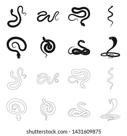 Vector illustration of mammal and danger icon. Collection of mammal and medicine stock symbol for web.