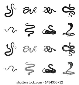 Vector illustration of mammal and danger icon. Set of mammal and medicine vector icon for stock.