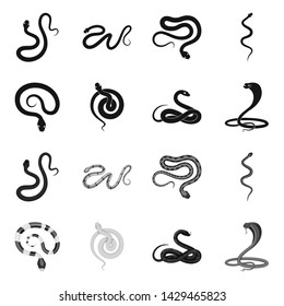 Vector illustration of mammal and danger logo. Set of mammal and medicine stock symbol for web.