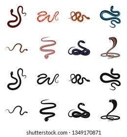 Vector illustration of mammal and danger sign. Collection of mammal and medicine stock symbol for web.