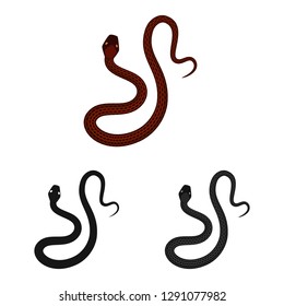 Vector illustration of mammal and danger symbol. Set of mammal and medicine stock symbol for web.