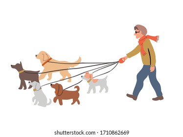 Vector illustration of the man dog walking with many dogs breeds.  Dog walker concept illustration in cartoon hand drawn style. dogs on the street