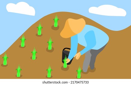 Ilustración vectorial, un hombre o un granjero plantando arroz, como pancarta o afiche, Día Nacional de los Agricultores. Junio.