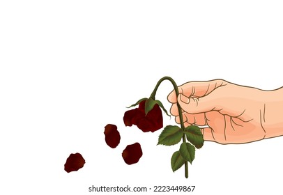 Vector illustration of man hand holding dried,withered red rose,falling petals,disappointment in love,fail in love,broken heart,isolated on white.Elegant flower natural beauty and expressions of love.