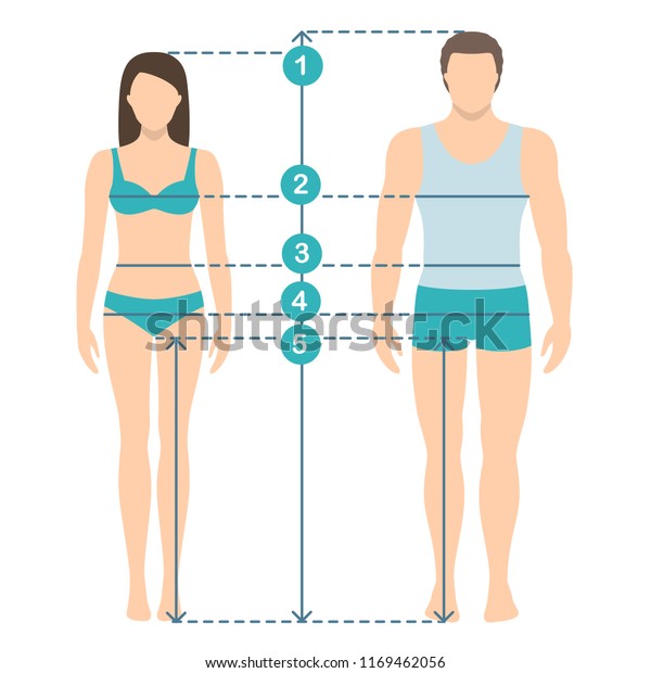 Vector\
illustration of man and women in full length with measurement lines\
of body parameters . Man and women sizes measurements. Human body\
measurements and proportions. Flat\
design.