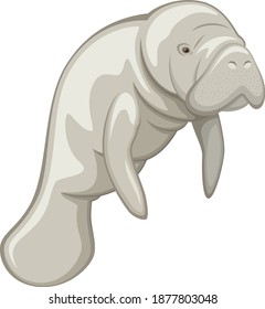 Vector illustration of a manatee against a white background. svg