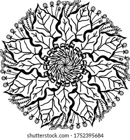 Vector illustration of a mandala. Circle made of plant elements. Botanical mandala antistress book for a coloring book.
