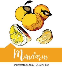 Vector illustration of mandarin in hand drawn graphics. A tropical fruit is depicted on an orange background. Design for packaging of juice, smoothies or deserets