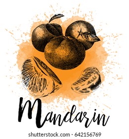 Vector illustration of mandarin in hand-drawn graphics. A tropical fruit is depicted on an orange watercolor background. Design for packaging of juice, smoothies or deserets