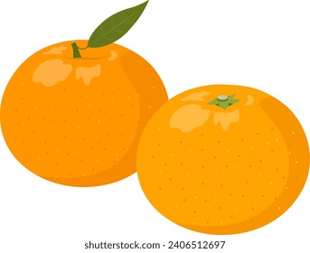 Vector illustration of mandarin oranges