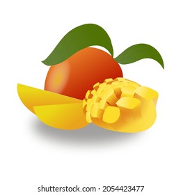  vector illustration of mango fruit