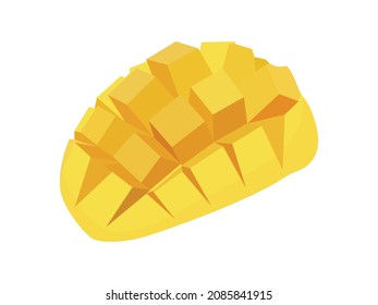 Vector illustration of mango fruit ripe and unripe, exotic nature fruit on white background