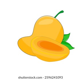 vector illustration of mango fruit, sliced ​​mango fruit, white background
