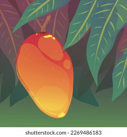 vector illustration of a mango hanging on a tree