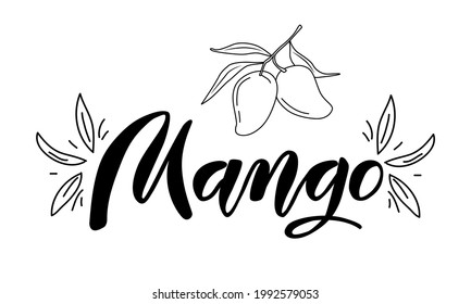 Vector illustration. Mango lettering with decoration on the sides and outline drawn mango fruit. Idea for poster, postcard