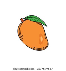 vector illustration of mango in orange color